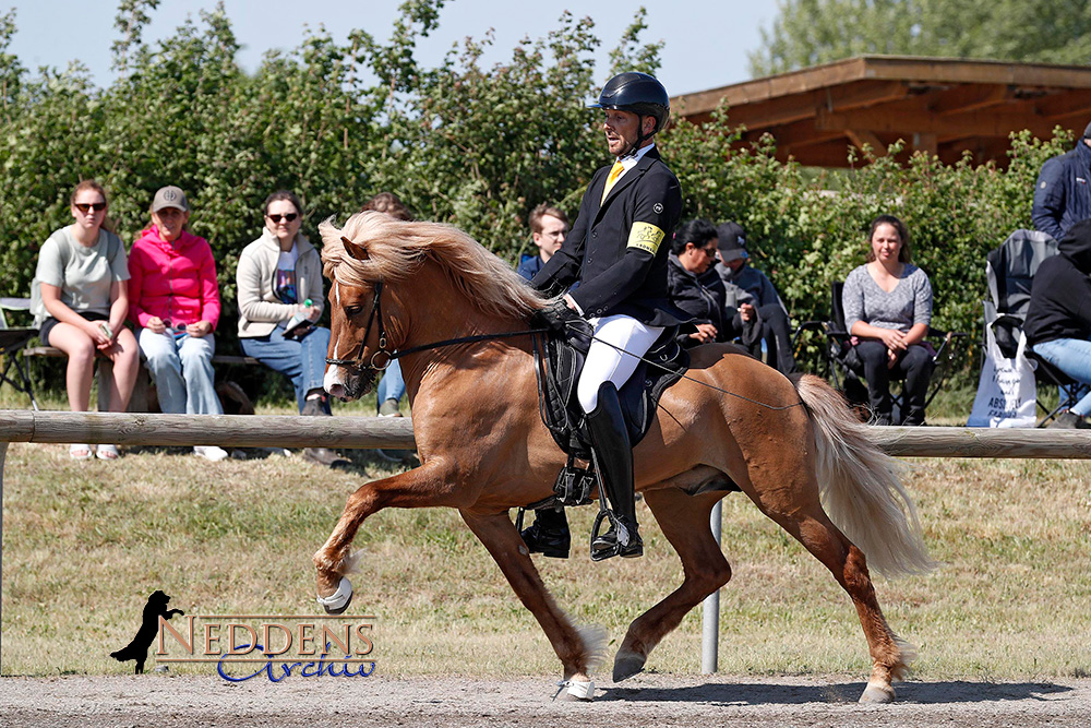 Kronshof: Nils, Toya, Elfa, Viviana, Leonie vorn