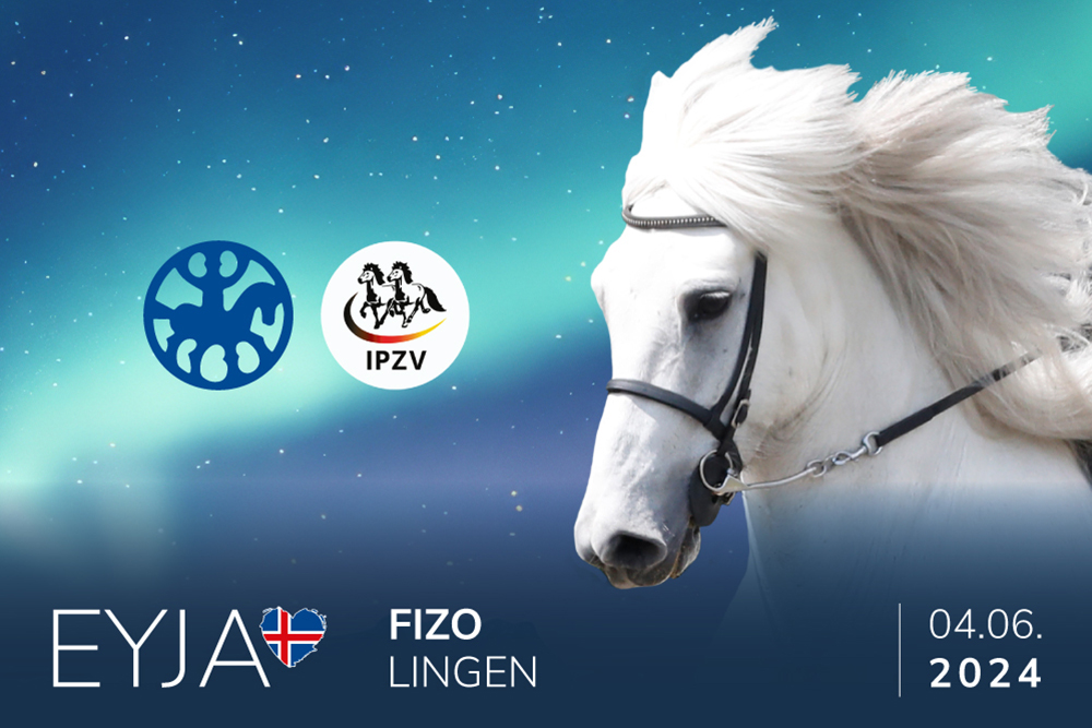 32 FIZO-Pferde in Lingen: 4./5. Juni im Live-Stream
