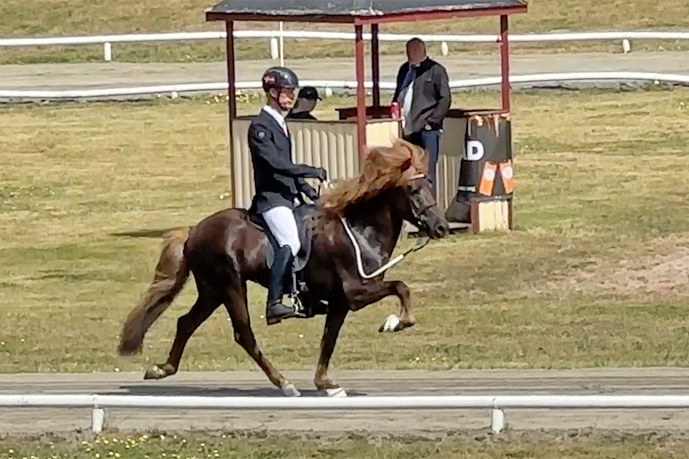 M’hof: Katie & HCL führen in T1 & T2 von Everöd