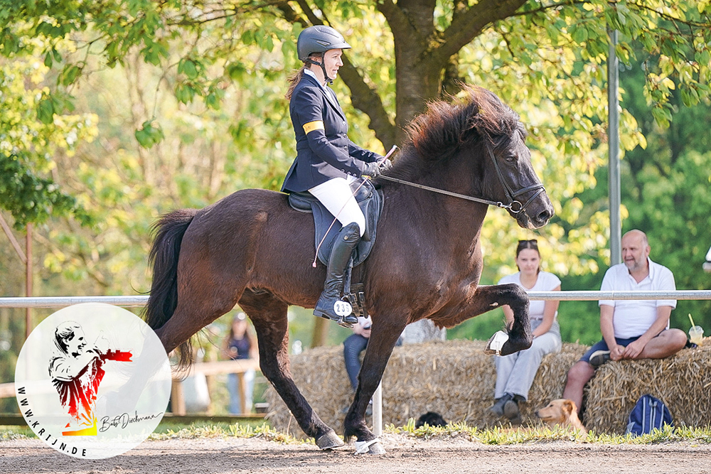 Sonnenhof: Lena, Ronja, Jorin, Leonie obenauf