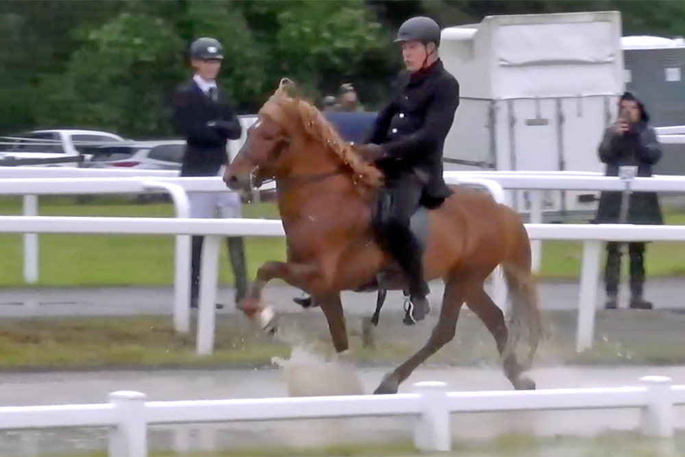 Martin und Nina führen in Möllenbronner T1/Y1.F2