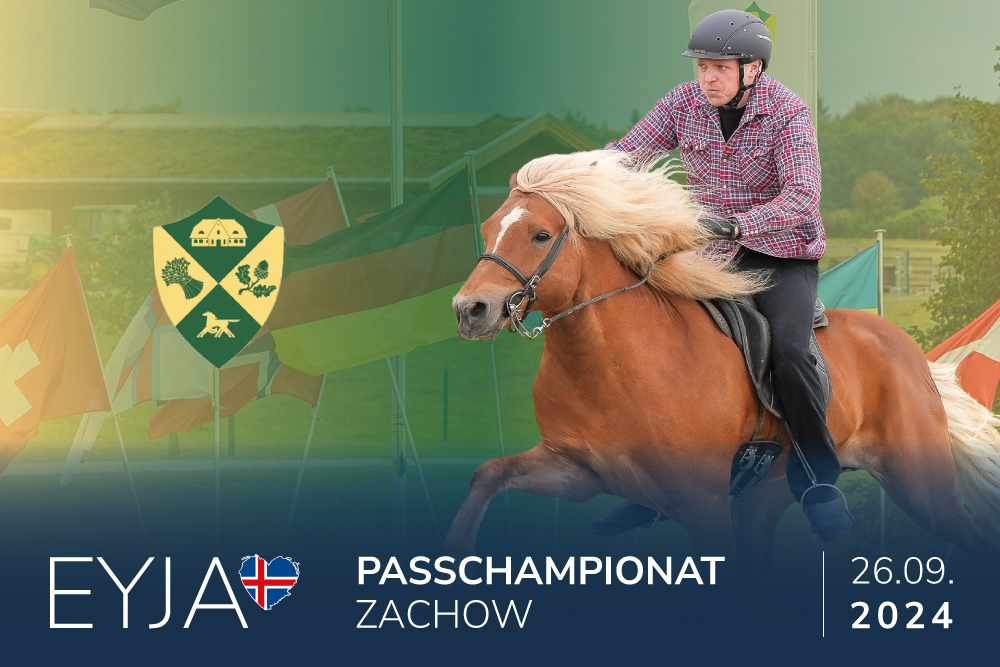 Bärenstarkes Saisonfinale: Zachow live bei EYJA TV