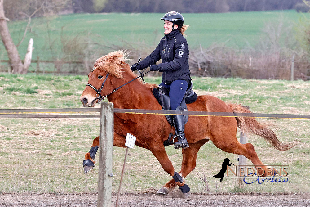 Lena, Jolly, Steffi stark zur Ellenbacher Sommerzeit