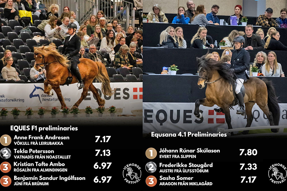 Icehorse: Jóhann & Anne die Spitzenreiter in V1/F1