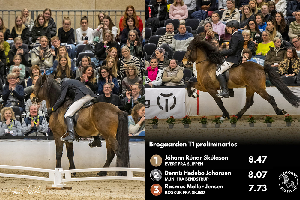 Icehorse: Jóhann & Evert schaffen WM-Vorfreude