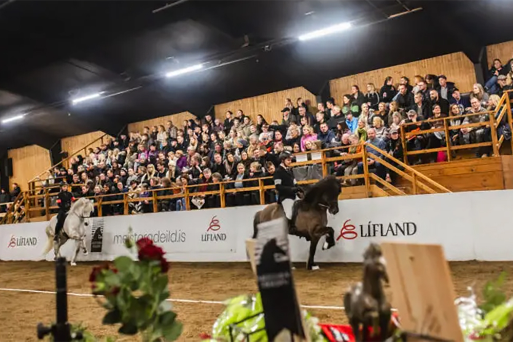 Meistaradeild-Finale FR ab 21 Uhr: Tölt & Speedpass