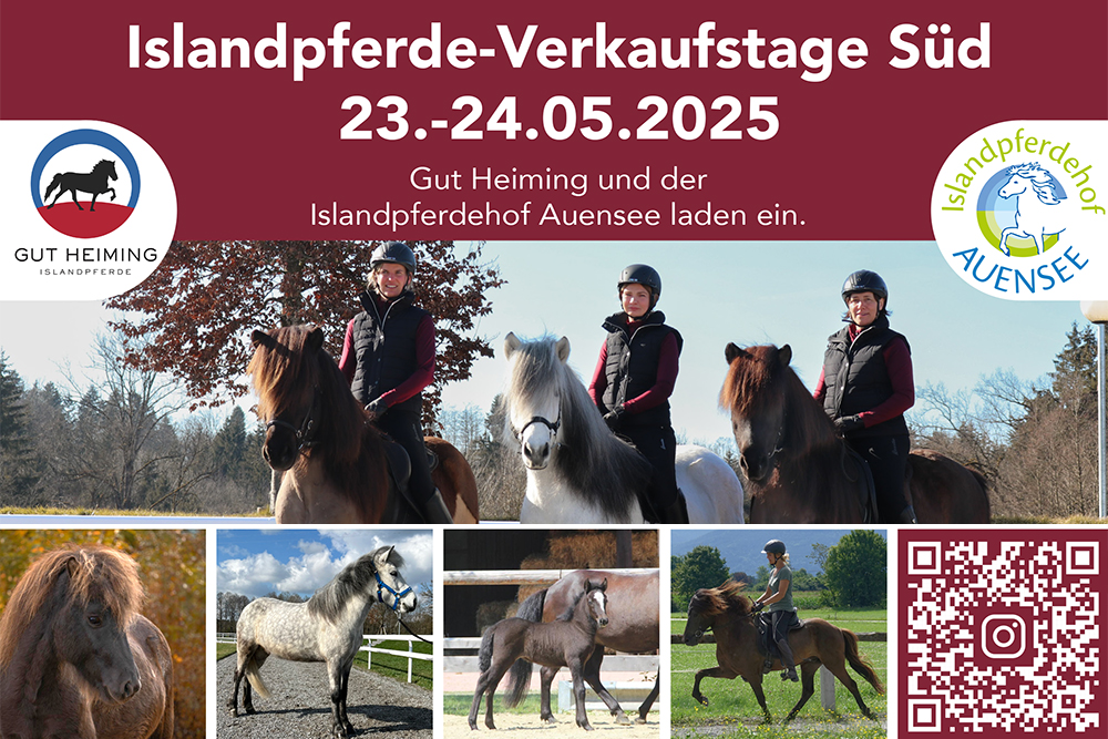 Verkaufspferde im Süden: Toller Tag in Rosenheim