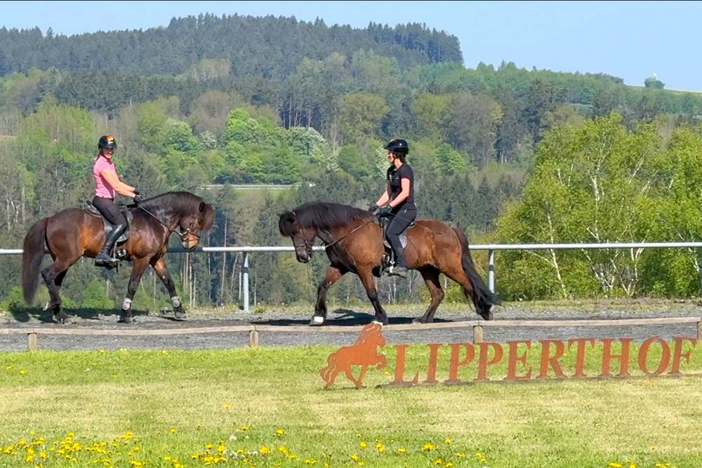 Lipperthof startklar: Video vom Wurzer Warm-up