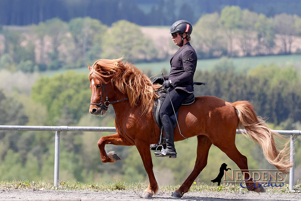 Oliver und Franzi strahlen im Wurzer Futurity-Tölt