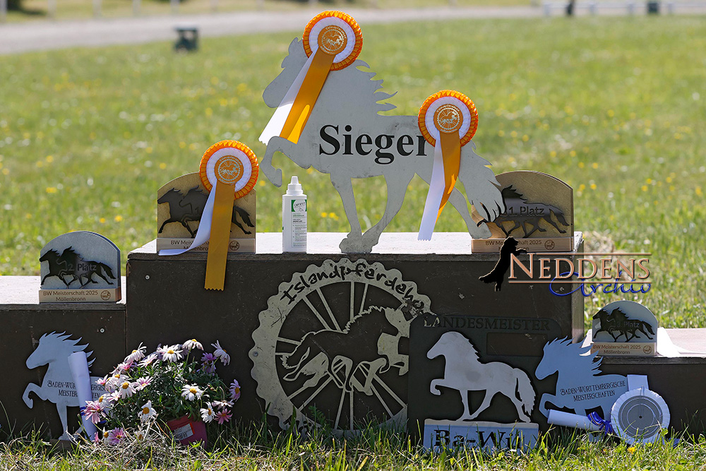 Möllenbronn: Video-Recap von DO inkl. PP1 & V1