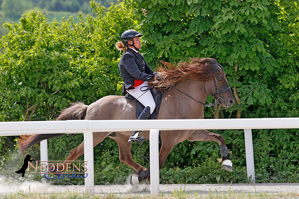 Lisa und Byr gewinnen PP1 in Möllenbronn