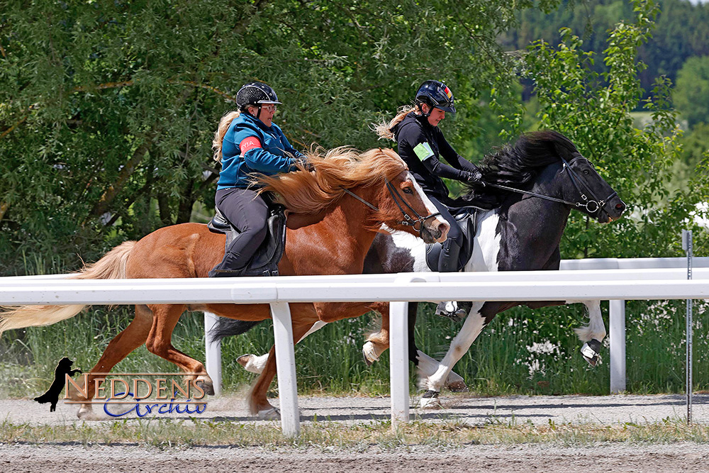 Möllenbronn: Celina, Nina, Christine, Flurina top