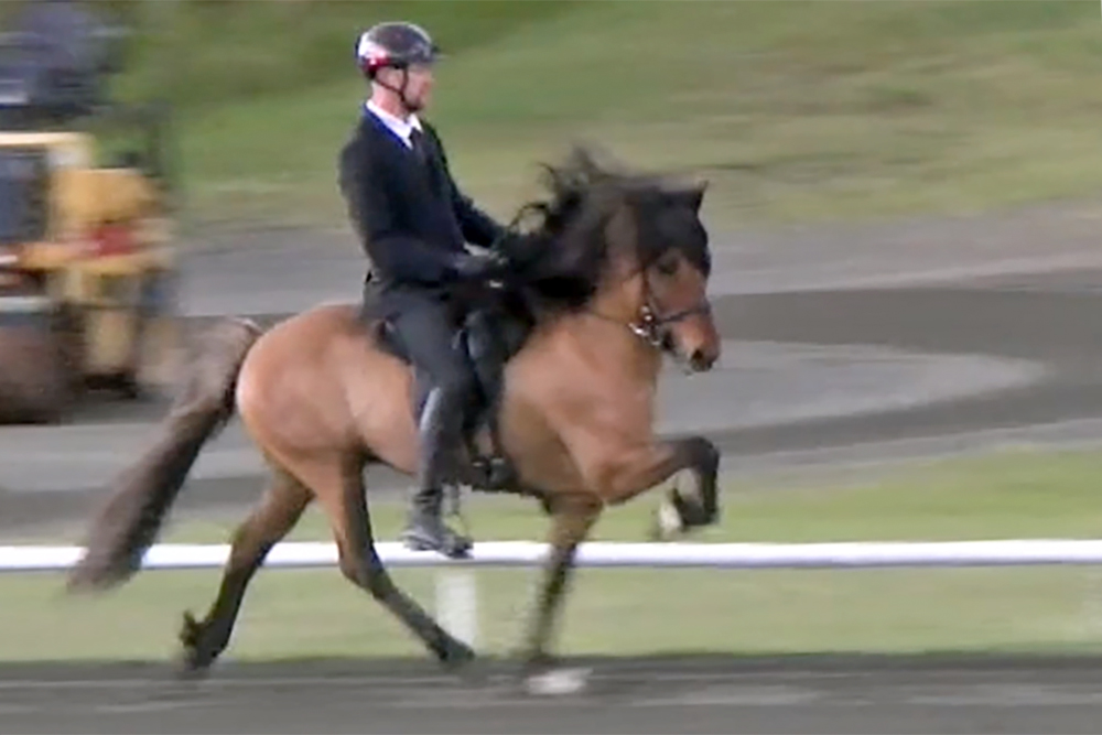 Dennis & Christina vorn in T1/T2 am M’hof / Videos
