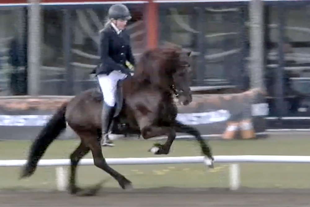 Anne Stine & Anne toppen V1/F1 am M’hof / Videos