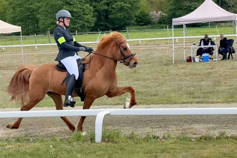 Ruppiner Hof vereint Sport und gute Laune / Video