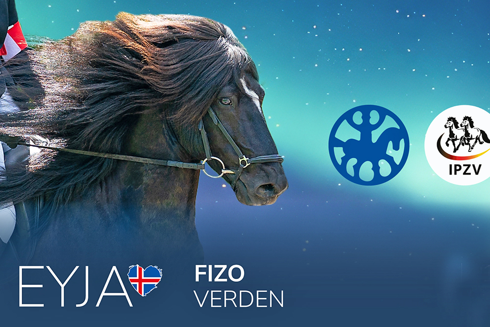 34x FIZO Verden ‘LIVE on tape’ DO-SA bei EYJA TV