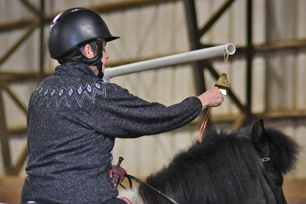 Neu aus den USA: Working Equitation auf Isländisch