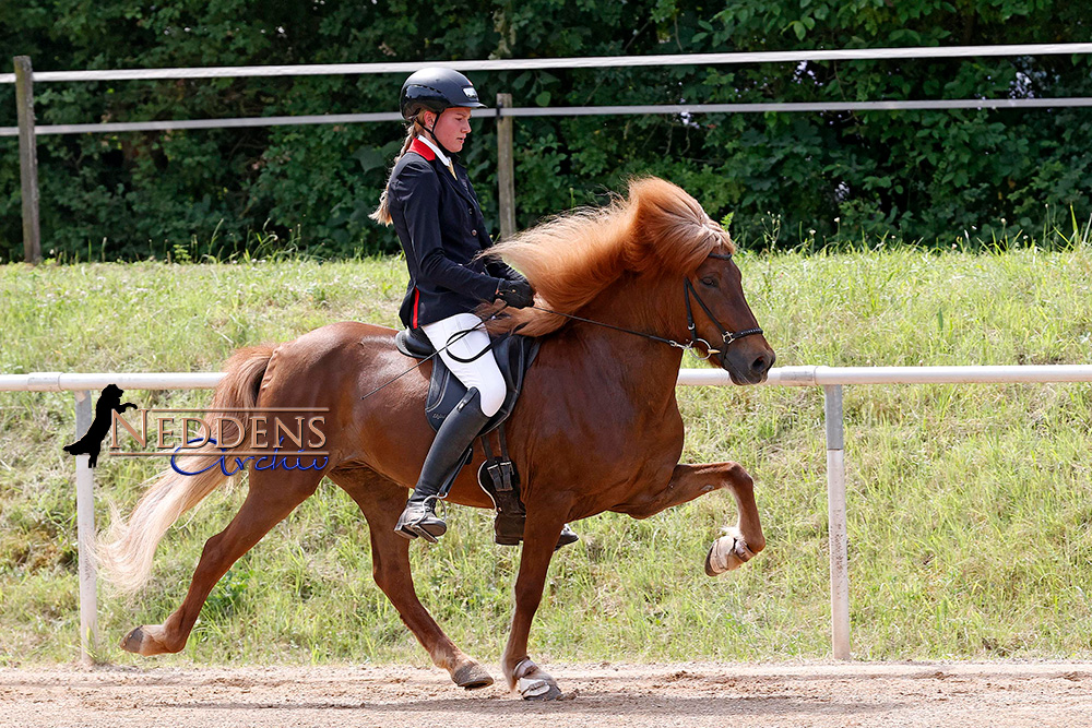 Finals in Saarwellingen: Johanna auf Birmi-Kurs