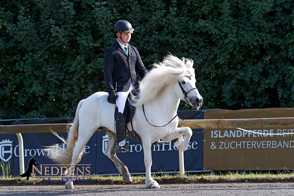 Gold an Gloria, Elfa, Lilly, Kristin, Óskar toppt T2