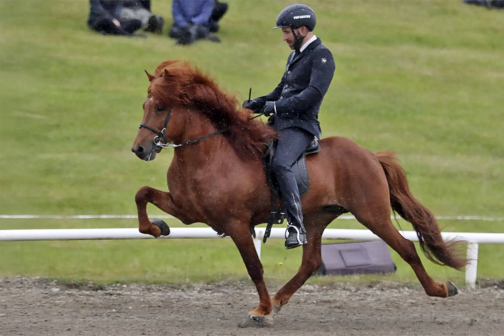 2x Árni, Helga, Jóhanna strahlen auf Hella-Quali