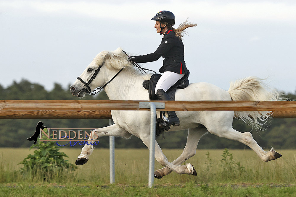 Laura und Fannar glänzen: PP1-Champs am Kronshof