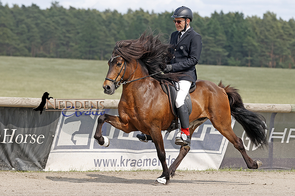 Kronshof: Jóhann, Daniel, Linnit vergolden T1/T3