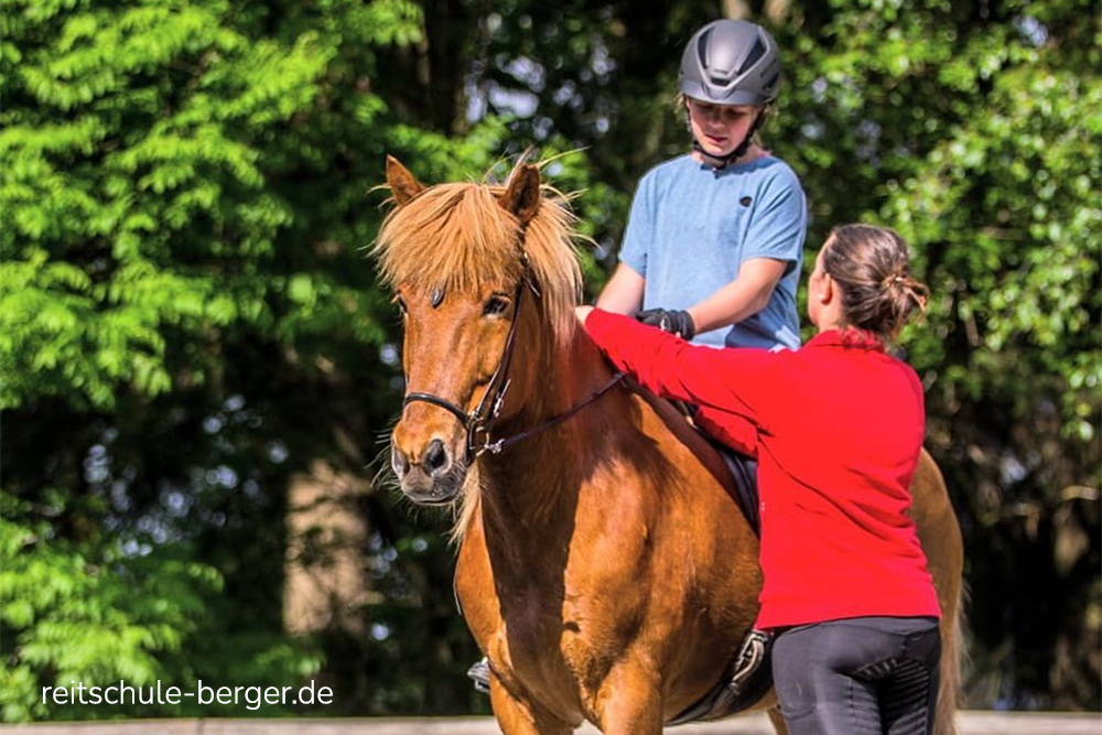 Lernen, üben, trainieren: Didaktik für Reiter