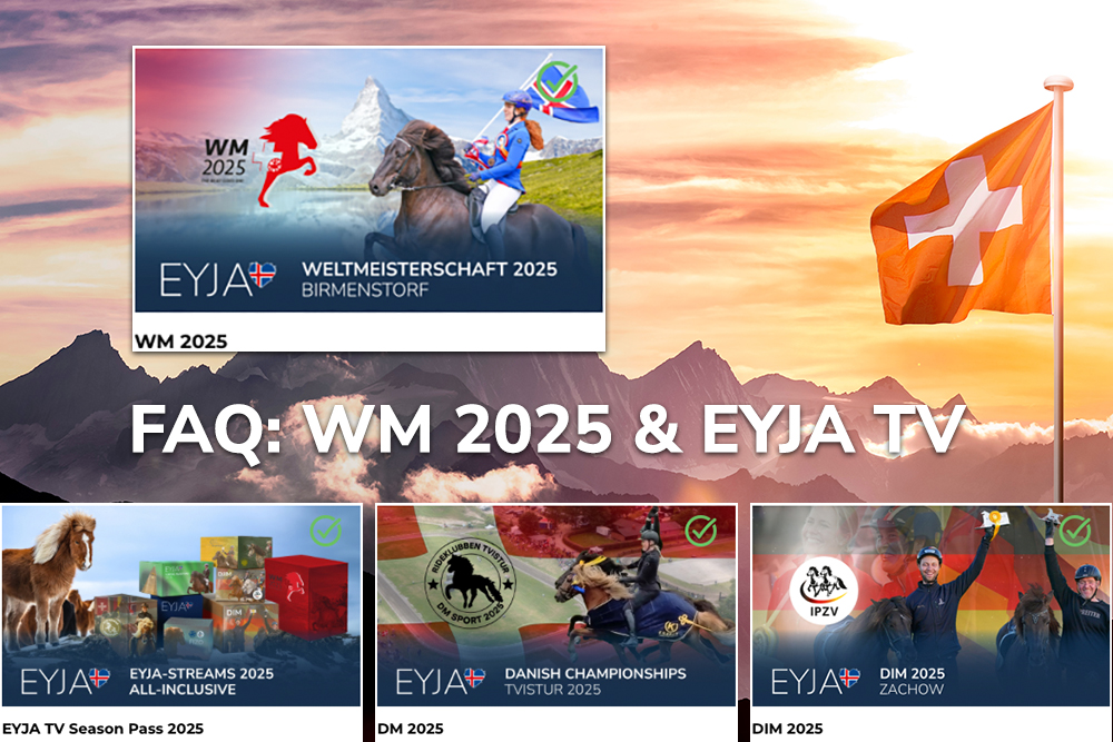 Fragen, Antworten, Infos zum LIVE-Stream der WM