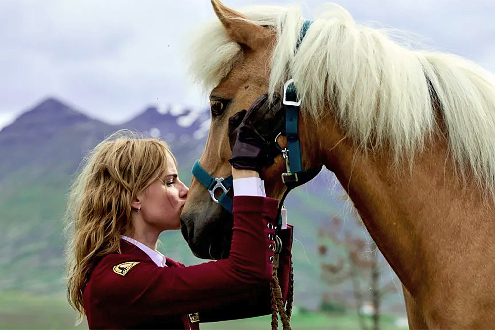 “Death of a horse”: Neuer Pferdethriller aus Island
