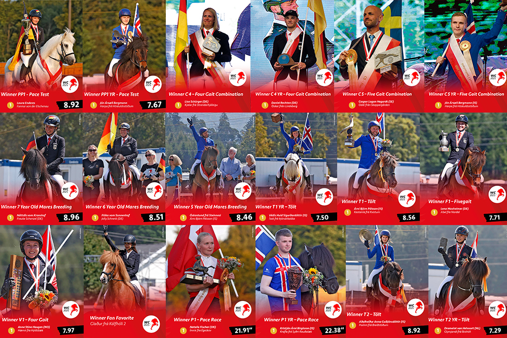 XXL-Videotagebuch von den tollen WM-Tagen
