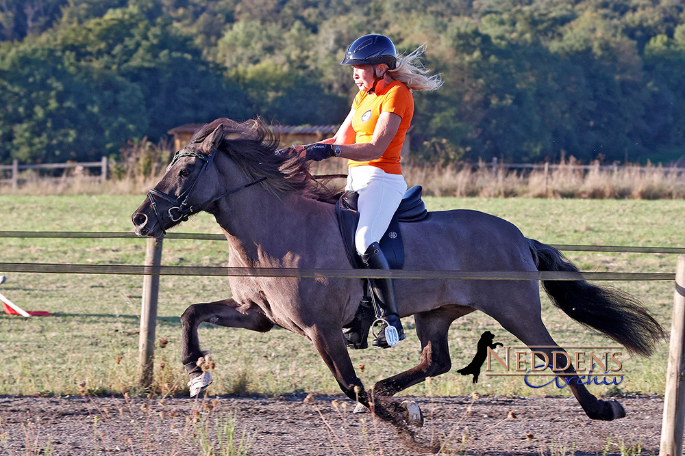 HIM-P2: Spitzen-Battle von Annette, Tabitha, Tony