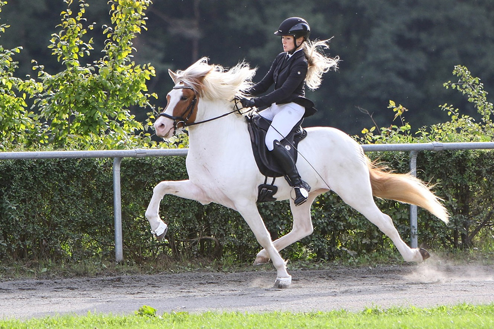 BIM: Team Pfaffenbuck triumphiert, Feli fabelhaft