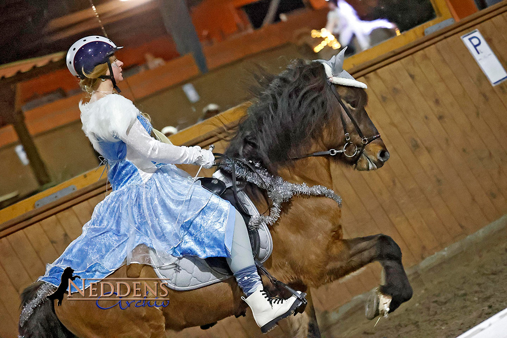 Eisige Sina & Engel Matilda siegen im Kronshof-‘WWT’