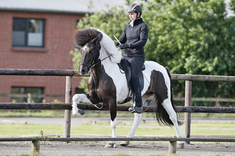 Mehr Farbe wagen: Mut zur ‘Sonderlackierung’