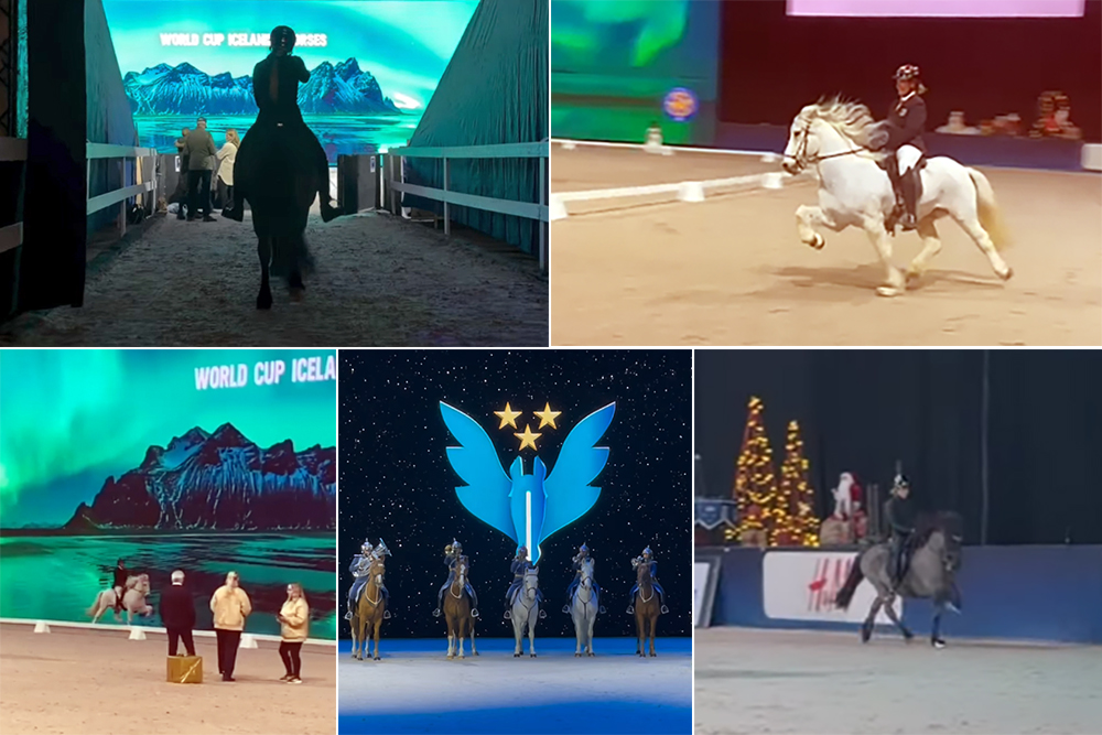 Dennis & Lisa punktgleich vorn in Stockholm-T1