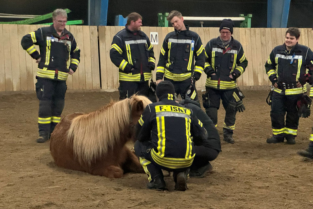 Tolles Tierrettungstraining auf dem Alpenhof / Video