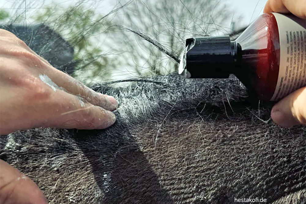 Cornell University: Tipps gegen Ekzem-Allergene