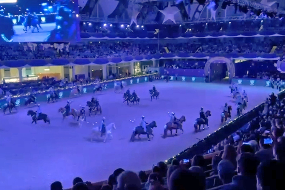 Wäller Wind glänzt in der Frankfurter Festhalle / Vid.