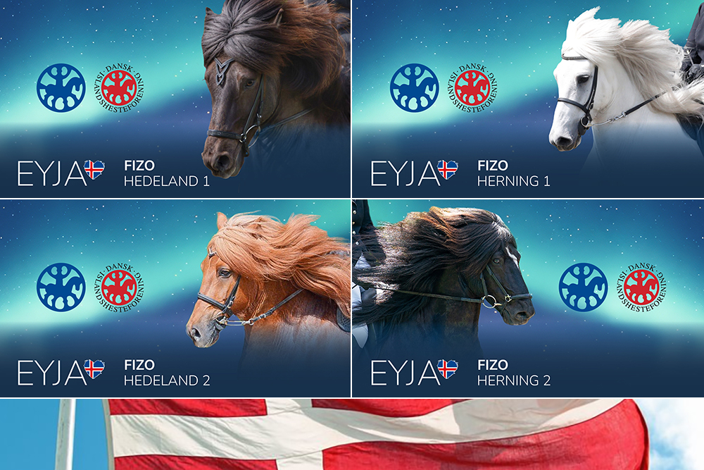Dänen-FIZOs: 2x Herning & 2x Hedeland bei EYJA TV
