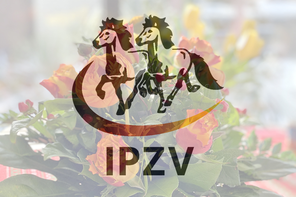 Alles neu am 25. April? IPZV-Konklave in ‘GÖ’