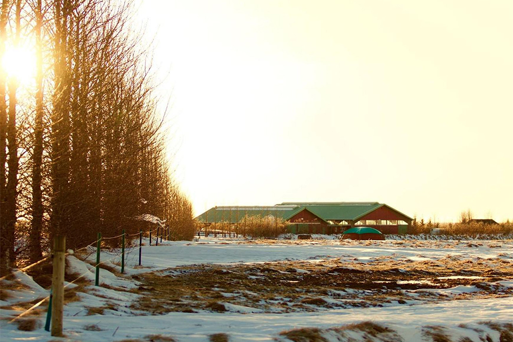 Árni Björn und Sylvía übernehmen Hof Kvistir