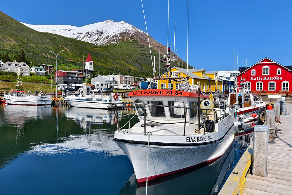 Schuppiges Gold: Wie der Heringsfang Island prägte