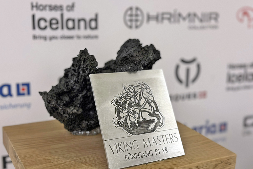 Viking Masters goes West: nächster Halt Zweibrücken