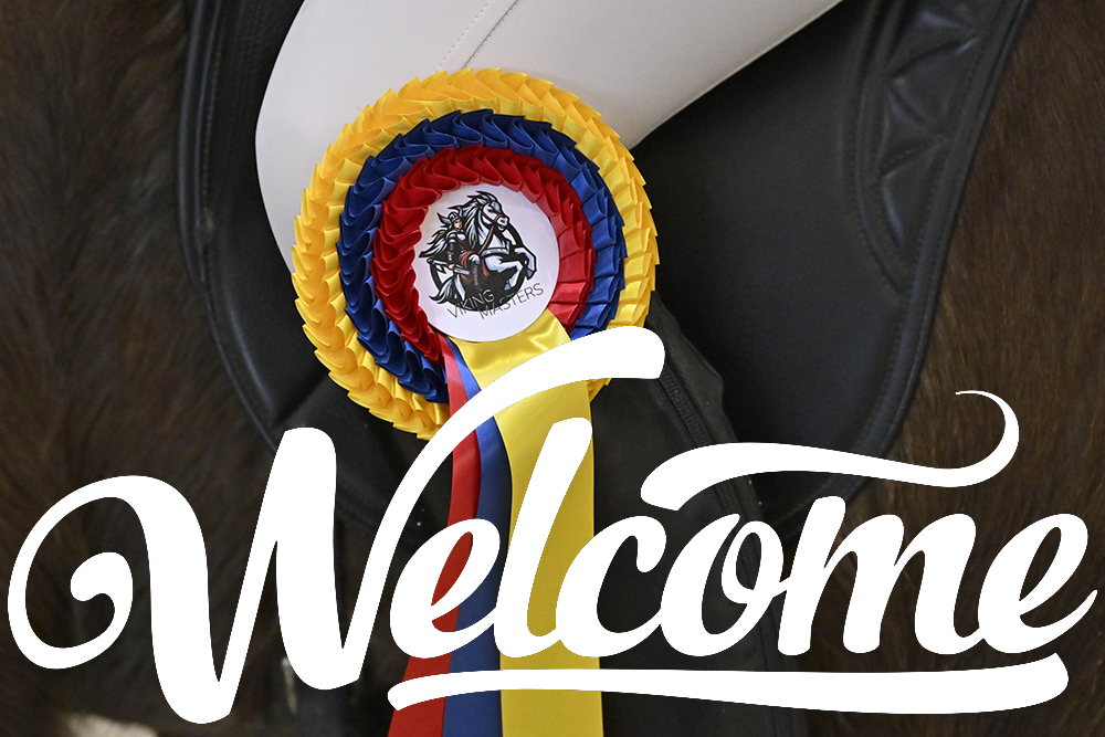 Willkommen zu den Viking Masters: bald geht’s los