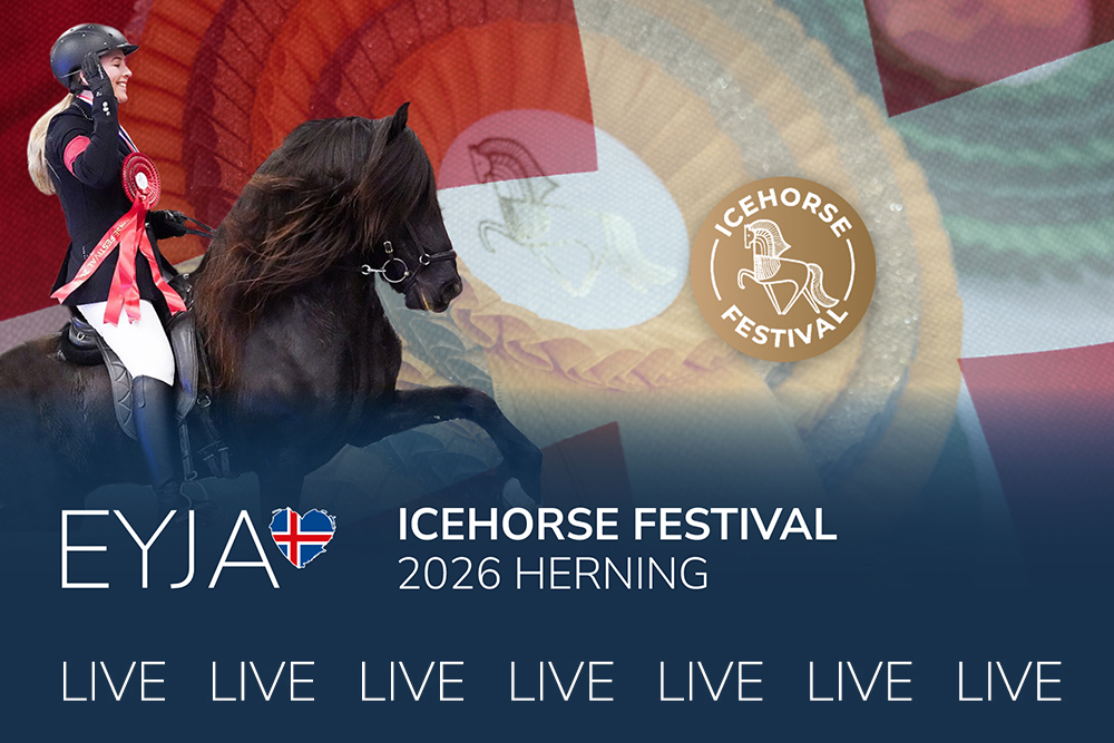 Bärenstarkes Icehorse Festival live bei EYJA TV