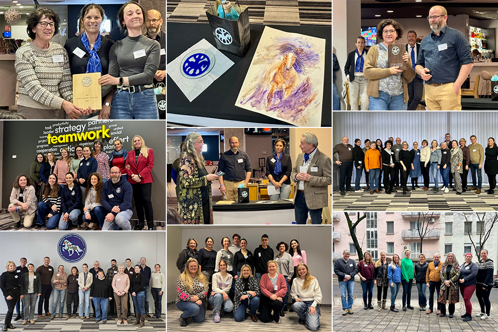 Bravo Budapest, 8m-Zone, Sammelkarten, Nasvidenje