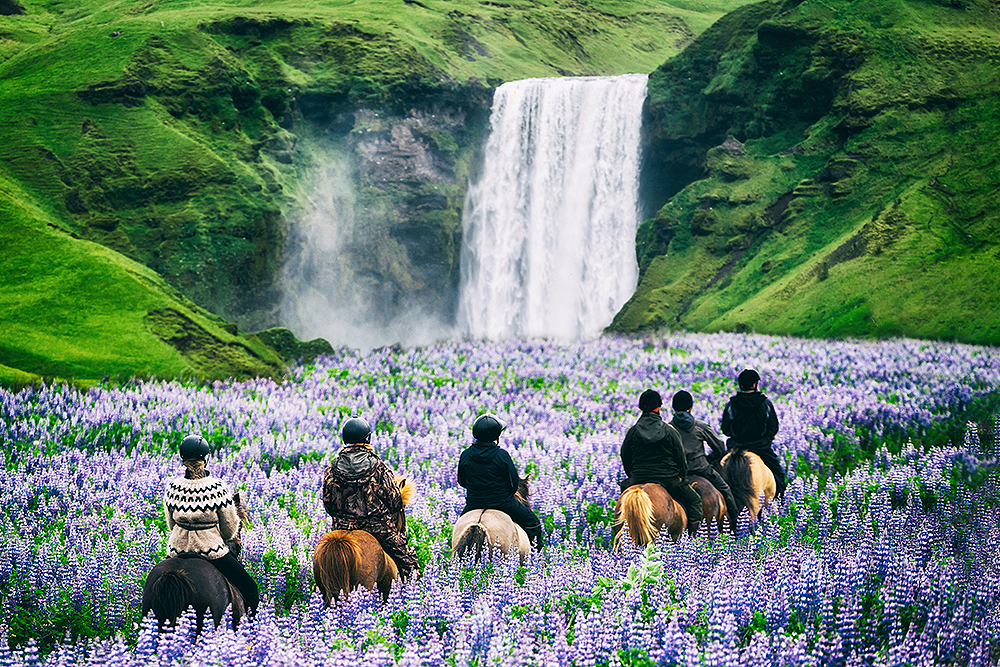 Teilen lernen: Island und die Touristen