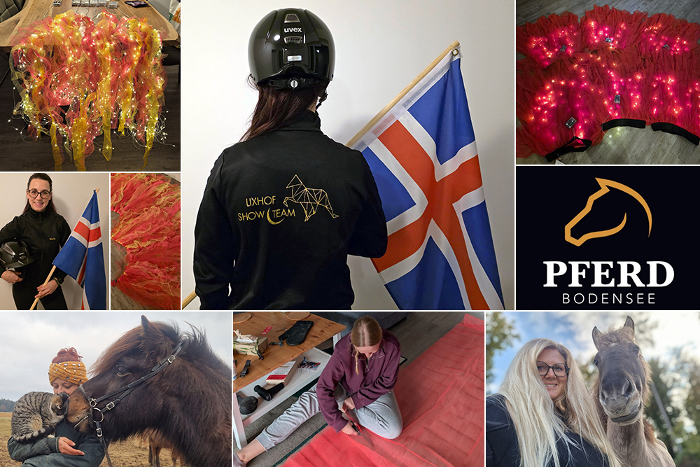 Pferd Bodensee: Coole Island-PS ab 27. Februar