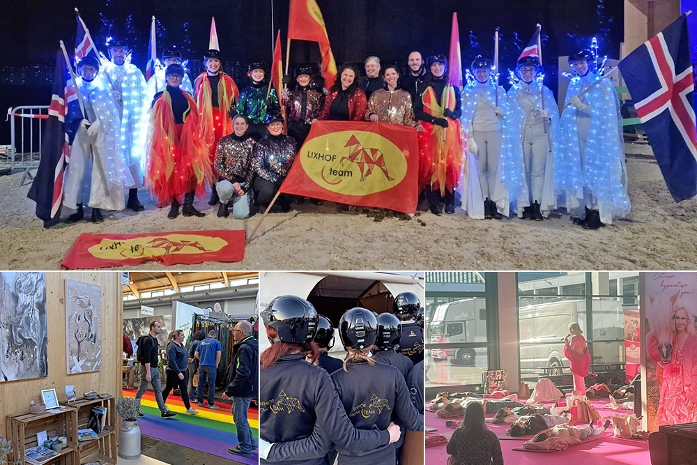 Live-Tagebuch und Video von der ‘Pferd Bodensee’