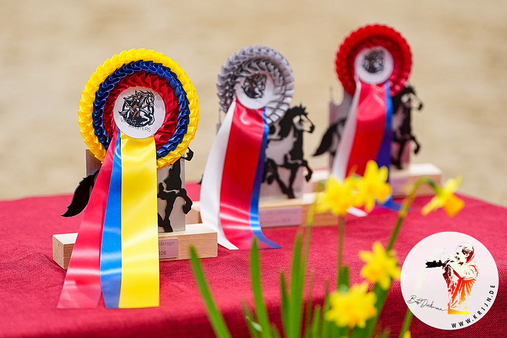 Trommelwirbel: Hier sind die ‘Vikings’-Qualifikanten